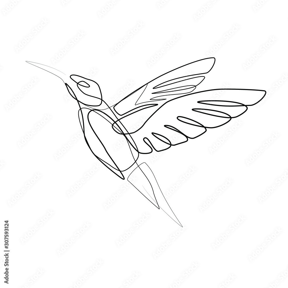 Obraz premium Hummingbird one line vector shape