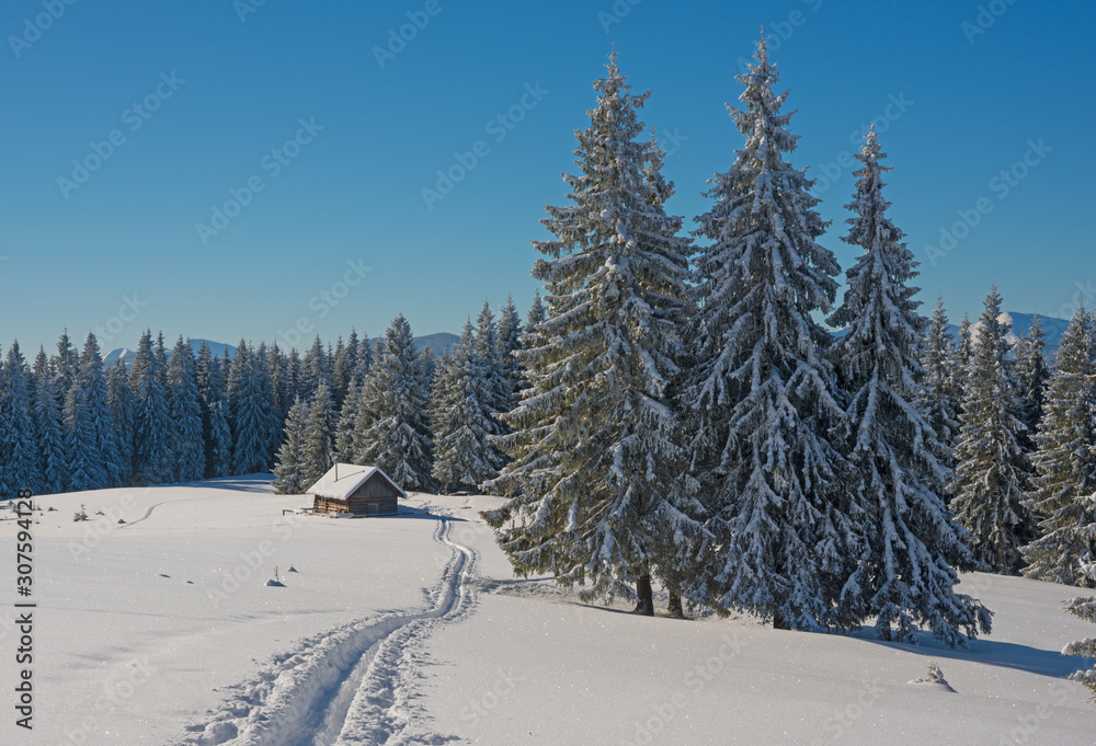 Snowy trees, little house in mountains and ski trail