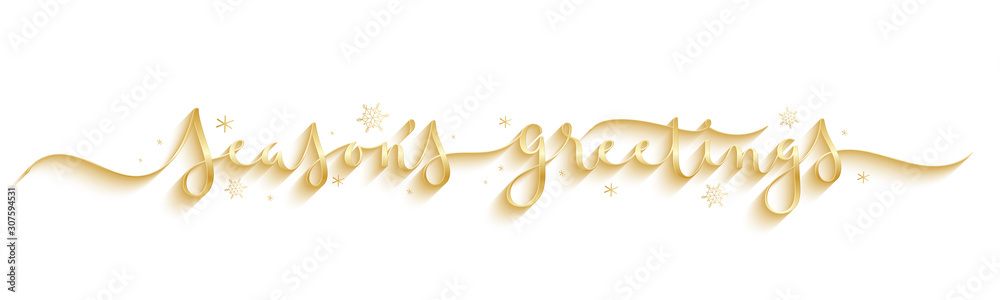 Fototapeta SEASON'S GREETINGS wide metallic gold vector brush calligraphy banner with snowflakes