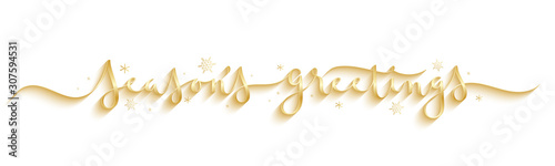SEASON'S GREETINGS wide metallic gold vector brush calligraphy banner with snowflakes