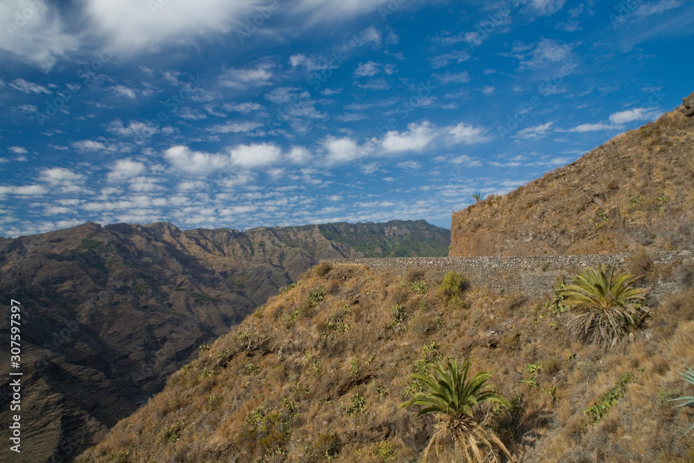 summer natural landscape of the Canary Island Gomera in Spain summer natural landscape of the Canary Island Gomera in Spain