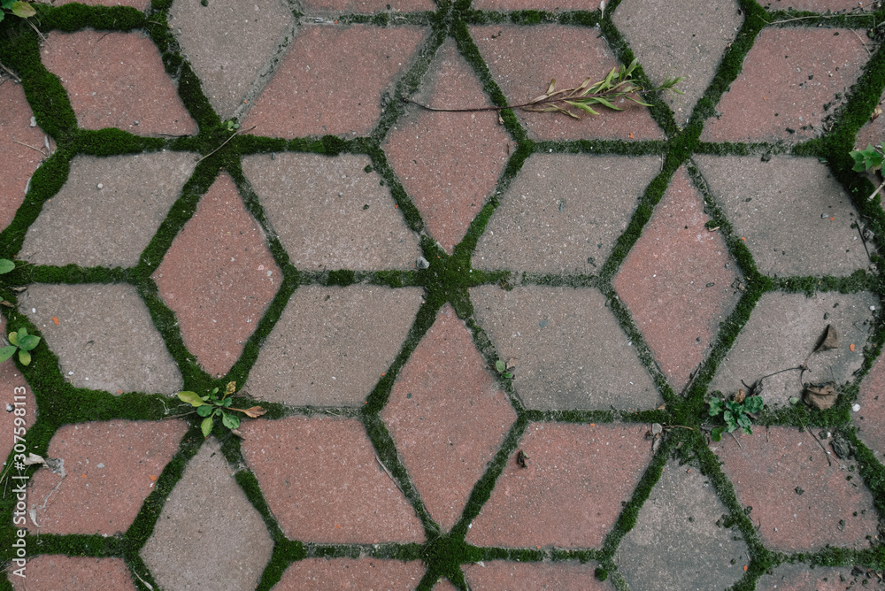 Pavement stone masonry with green moss background Pavement stone masonry with green moss background