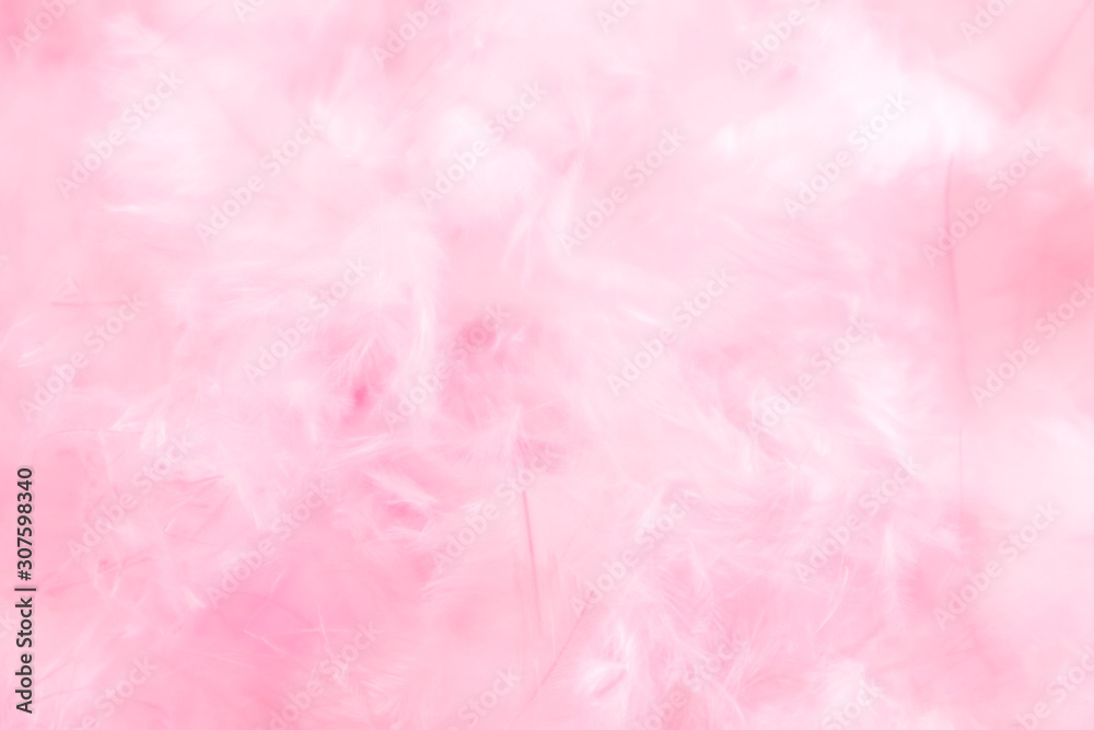 Beautiful abstract colorful white and pink feathers on white background and soft white purple feather texture on white pattern