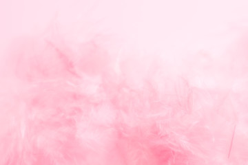 Beautiful abstract light pink feathers on white background,  white feather frame on pink texture pattern and pink background, love theme wallpaper and valentines day, white gradient