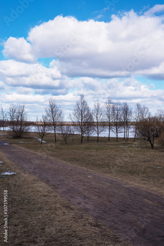 nature picture in early spring by the lake with trees and cloudy sky