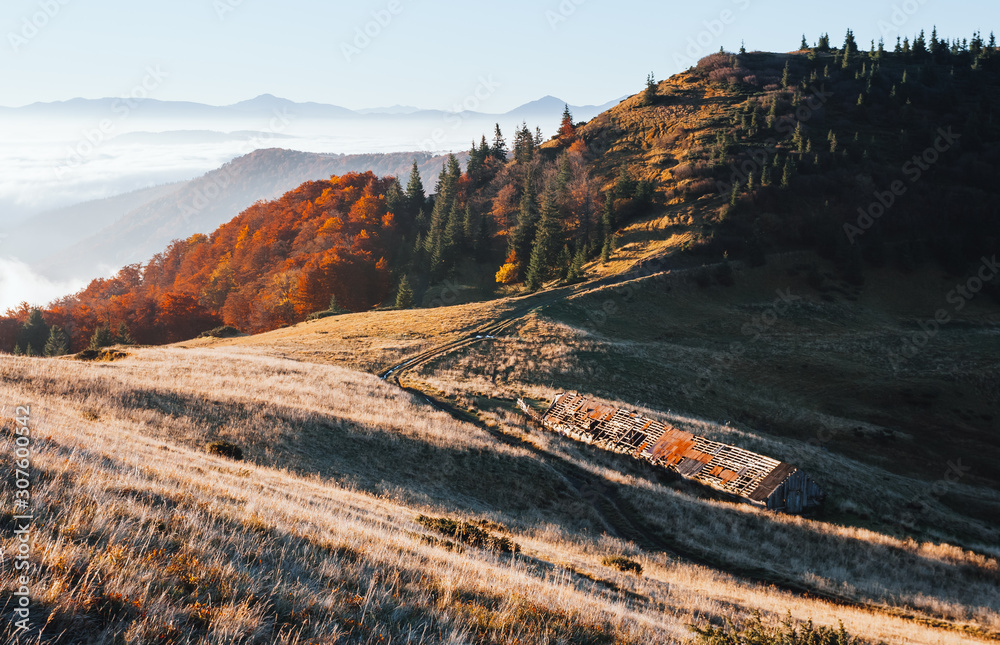Perfect moment in alpine highlands. Location Carpathian, Ukraine, Europe. Perfect moment in alpine highlands. Location Carpathian, Ukraine, Europe.