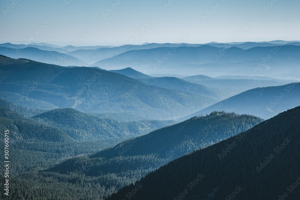 The valley is covered with dense forest. Location Carpathian national park, Ukraine, Europe.