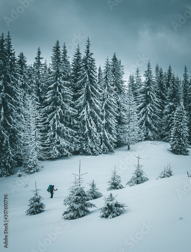 Amazing view of fairy-tale woodland. Location Carpathian national park, Ukraine, Europe.