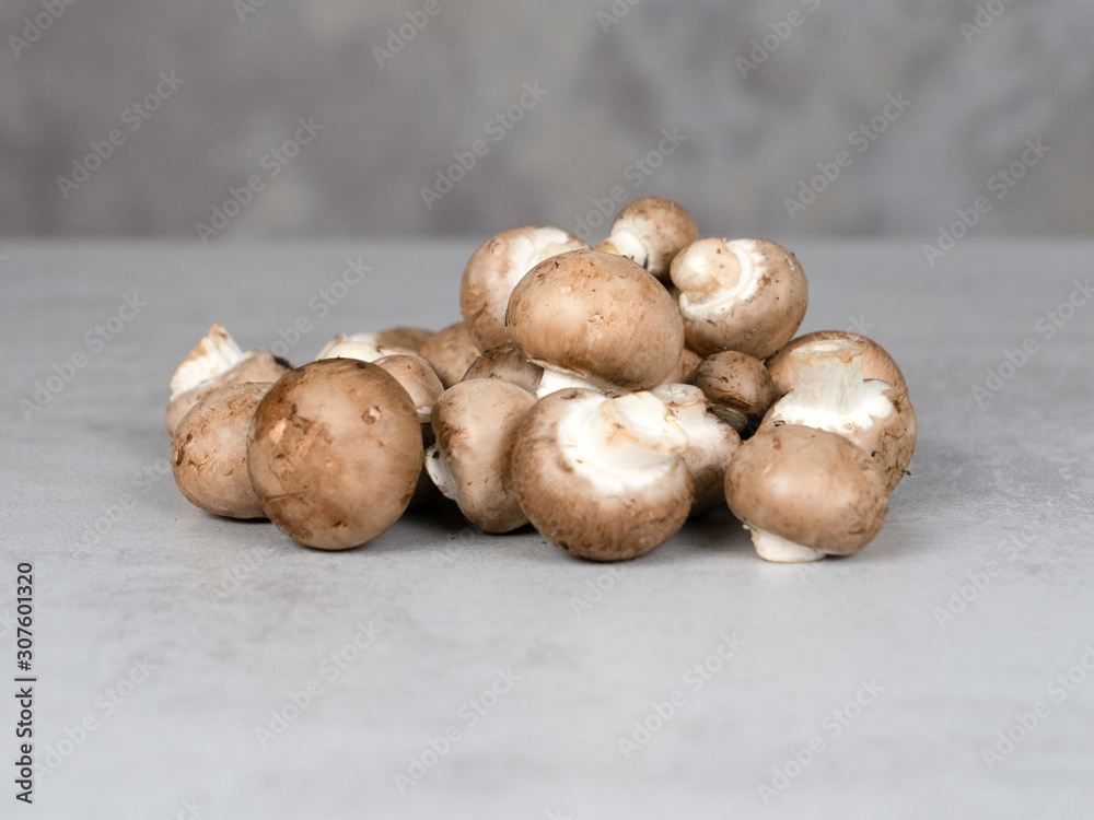 Mushrooms mushrooms Mushrooms mushrooms