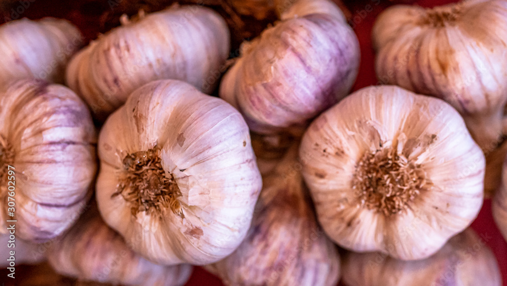 Garlic background. Ripe and dry garlic bulbs. Garlic background. Ripe and dry garlic bulbs.