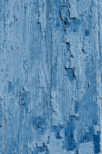 The texture of the old cracked paint classic blue color. Copy space. Grunge texture. Grunge wooden classic blue color surface.
