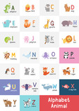 Cute cartoon animals alphabet for children education