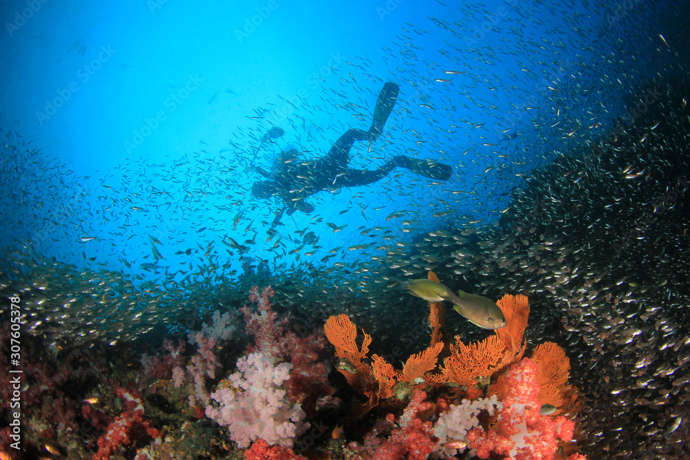Obraz premium Scuba dive underwater coral reef