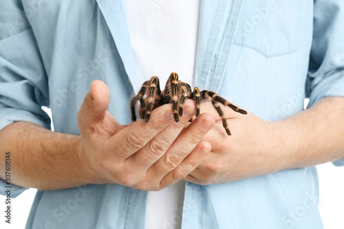 Man holding hairy striped knee tarantula, closeup