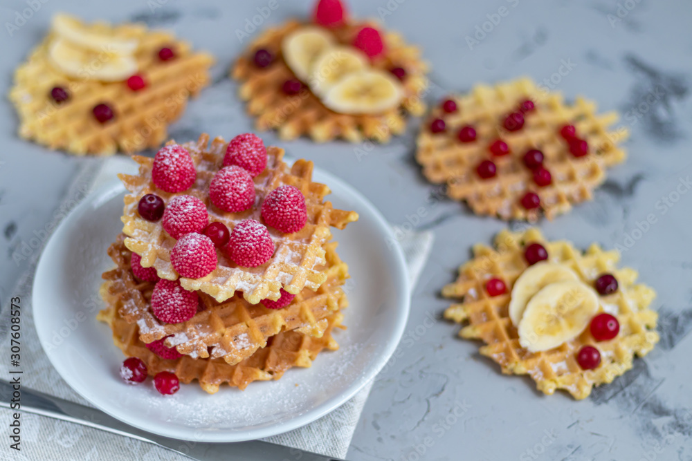 Traditional Belgian waffles with fresh fruits, sprinkled with powdered sugar and cocoa. You can eat for breakfast with compote or coffee. Holiday breakfast. Copy space. Traditional Belgian waffles with fresh fruits, sprinkled with powdered sugar and cocoa. You can eat for breakfast with compote or coffee. Holiday breakfast. Copy space.