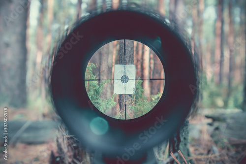 Sniper gun scope view, target 