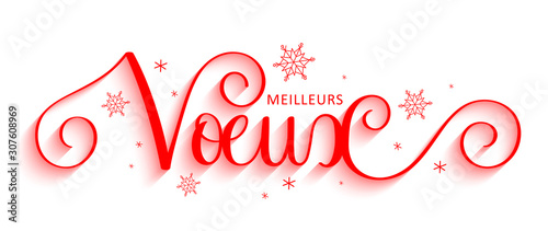 Bannière calligraphique vecteur « MEILLEURS VOEUX » 