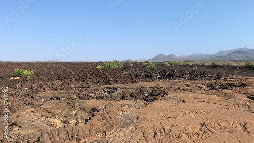 Scarcely vegetated volcanic landscape in Tsavo West National Park. Shetani lava flows in brown ish color, solid lava remains lying around as debris. photo