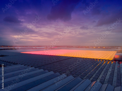 aerial view of a modern agricultural greenhouse in the Netherlands that uses LED lights to support the growth of the plants; Westland, Netherlands