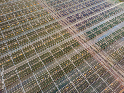 aerial view of a modern agricultural greenhouses in the Netherlands that uses artificial light to support the growth of the plants  Westland  Netherlands