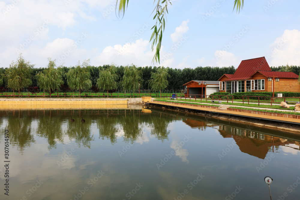 Summer view of the pond in the park