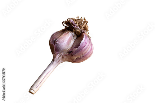 Incomplete garlic head isolated on white background Selective focus. Space for lettering or design.