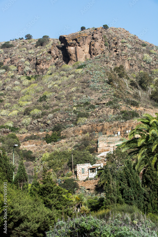 Landschaft von Gran Canaria beim Botanischem Garten .