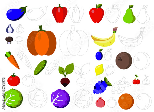 Fototapeta Naklejka Na Ścianę i Meble -  vector illustration of vegetables and fruits on a white background, coloring for children