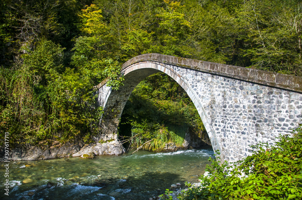 Fototapeta premium bridge over the river