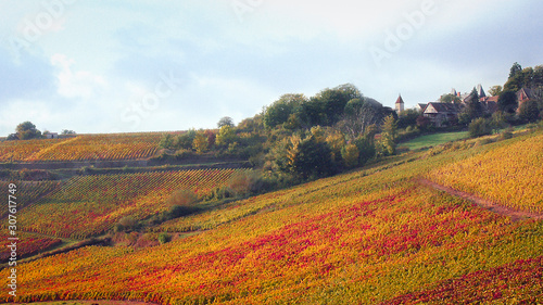 vignes automne decize les maranges