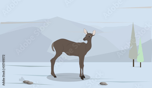 deer running in the mountains