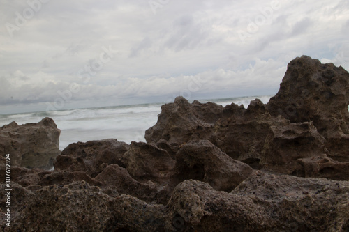 Coral Cove Park, Tequesta, Florida photo