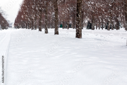 heavy snow in the park. Blurred