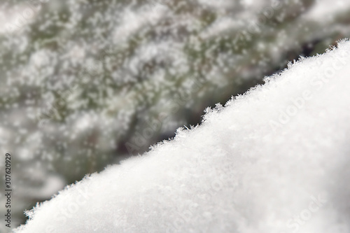 snowflakes close-up on a blurry winter background. Soft focus