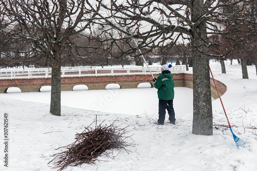 pruning trees by a gardener in a winter park