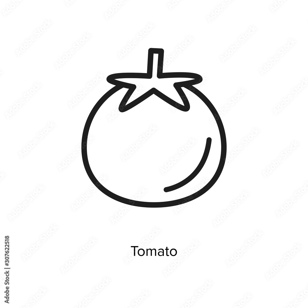 Tomato linear icon vector illustration on white background Tomato linear icon vector illustration on white background