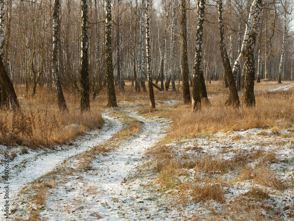 first snow. winter forest snowy white road first snow. winter forest snowy white road