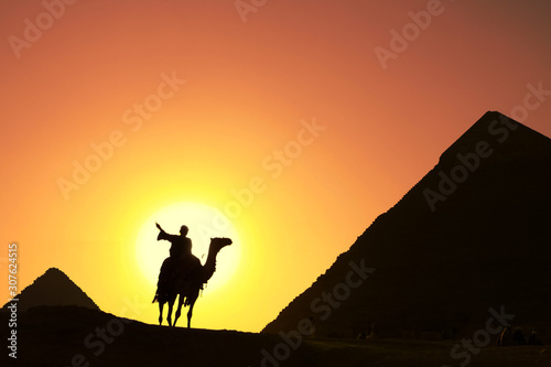 camel bedouin silhouette at giza pyramids cairo egypt at sunset