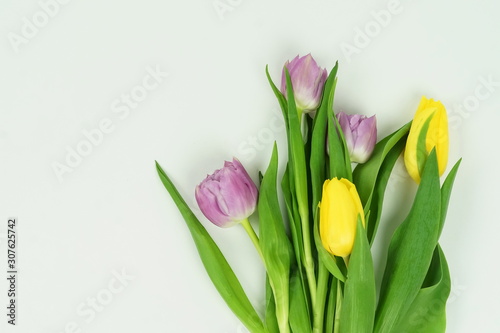 Flowers background. Bouquet of purple and yellow tulips flowers on pastel violet color backdrop top view. Copy space.Holiday concept