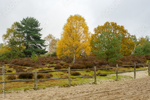 Frensham Great Pond photo