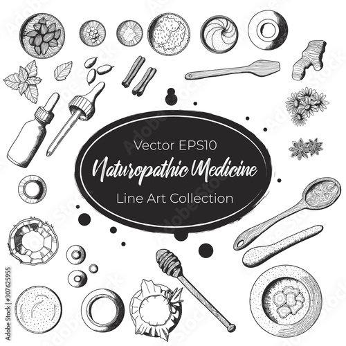 Vector hand drawn naturopathy set with medicals herbs and kitchen elements. Mortar, ginger, mint, anais and pestle illustration collection in sketch style. Perfect for  nature cosmetics or medicine.