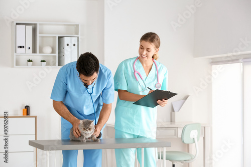 Veterinarians examining cut...