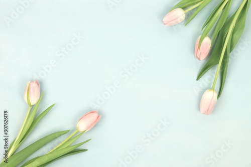 Fototapeta Naklejka Na Ścianę i Meble -  Flowers background in pastel colors. Pink tulips bouquet on pale mint backdrop top view. Copy space. Holiday concept
