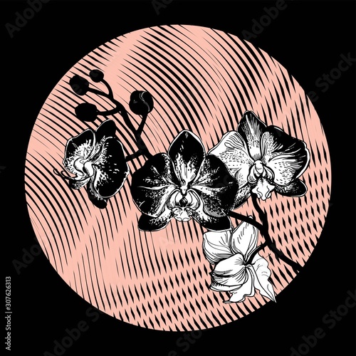 Branch of monochrome tropical flowers Orchids, Phalaenopsis drawn by hand on wavy coral linear round form on black. For floristic design, greeting cards, poster, banner, textile, cover