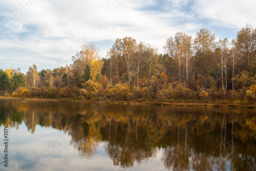 Picturesque autumn forest on the bay. Siberia