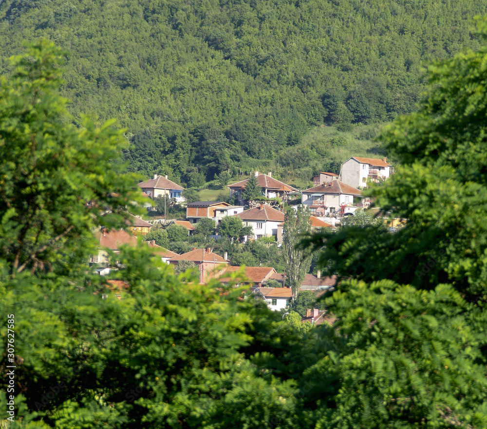 Houses in the foot of the hill seen throught green tree branches.