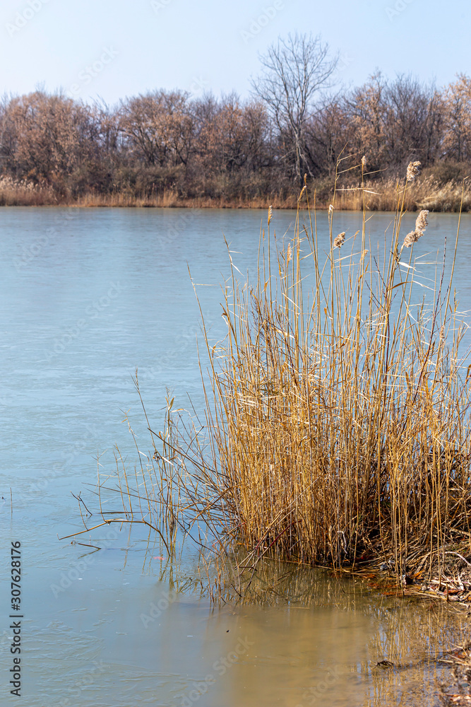 Wetlands Beauty Wetlands Beauty