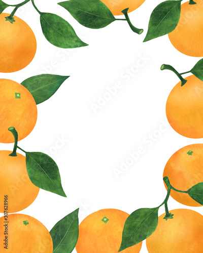 Postcard Mandarins Citrus fruits Watercolor illustrations Set of summer floral decorations Christmas Food illustration Tropical fruits