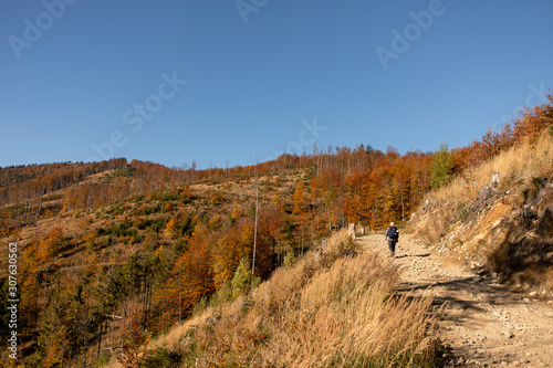Hiker woman with backpack walking in the mountains in autumn scenery.