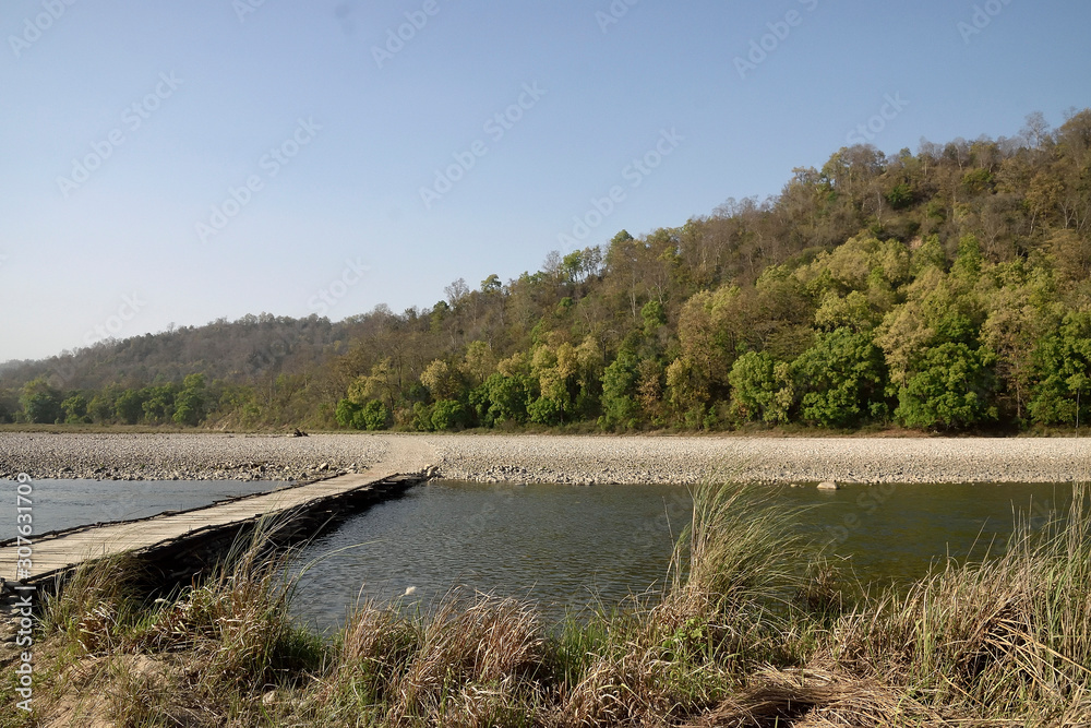 Jim corbett Tiger reserve forest, india